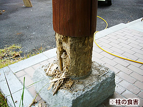 オートキャンプ場とまろっと
