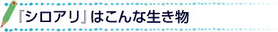 シロアリはこんな生き物