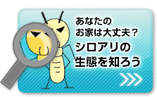 セルフチェックあり!しろありの生態を知ろう